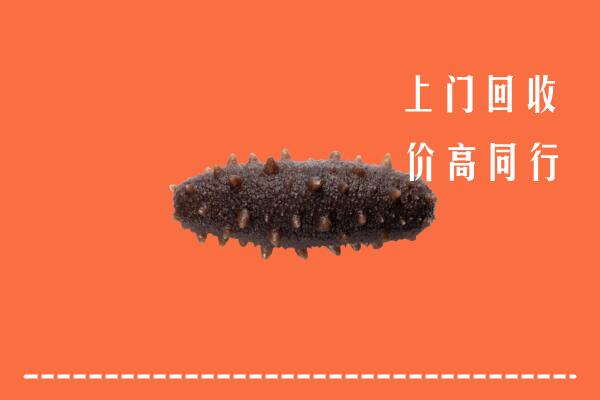 应县回收海参