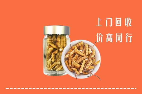 应县高价回收冬虫夏草